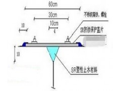 SR防渗保护盖片