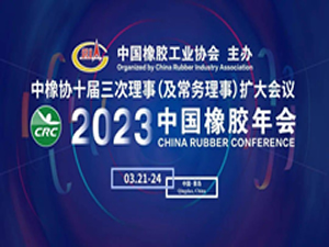 第十八届中国橡胶年会