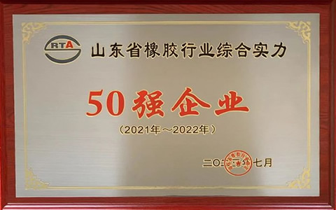山东橡胶行业50强揭晓，潍坊顺福昌橡塑公司荣膺殊荣并持续创新前行
