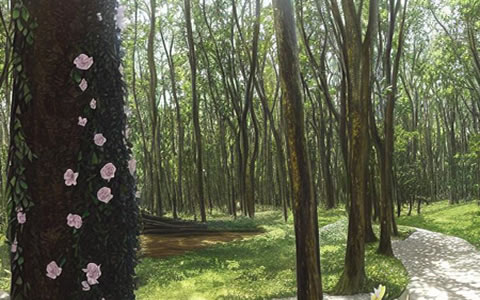 欧盟无森林砍伐条例引发橡胶行业担忧，泰国采取行动保证橡胶产品可追溯性