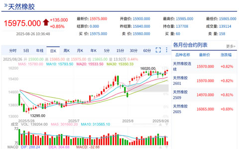 天然橡胶期货2601合约价格持续攀升 多重因素影响后市走势