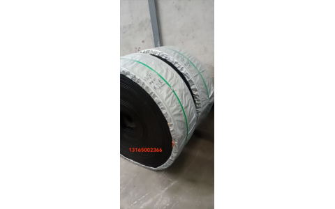 炜泰分层织物橡胶输送带 物料提升带 挂斗提升带1