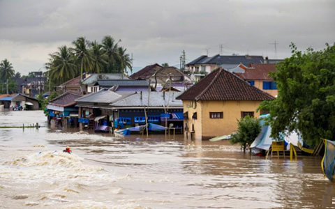 泰国暴雨引发严重洪灾 天然胶胶水价格或上扬