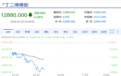 夜盘期货市场震荡调整 丁二烯橡胶领跌超百分之二