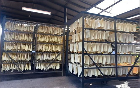 缅甸11个月橡胶出口量达35万吨 创汇约5亿美元